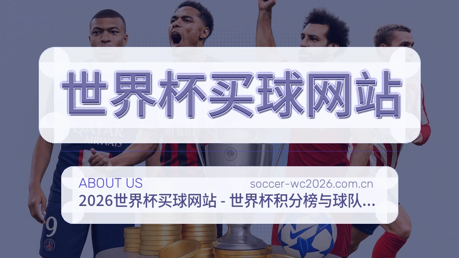 关于 世界杯买球网站